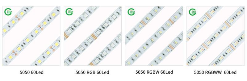 High Efficiency 5050 60LED/M Rgbww DC12V Outdoor IP68 LED Light for LED Linear Light