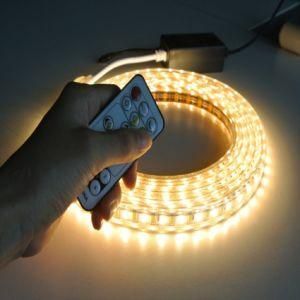 5630 Ww+W LED Strip Light Double Color LED Rope Light