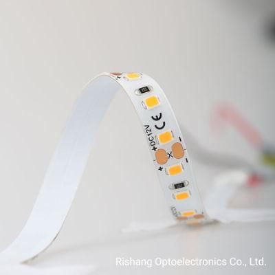 60LEDs/M Anti-UV Salt-Fog Proof DC12V White 2700K IP65 Waterproof Silicone Spraying Flexible LED Strip