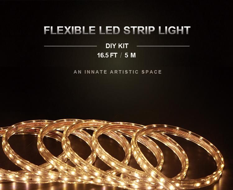 Outdoor IP65 Decorative Strip Light Blister Kit with Linkabele Design Ce RoHS Cert