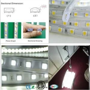 ETL Listed LED Ribbon 60LED 5050 LED Strip Light 3000k/6000k
