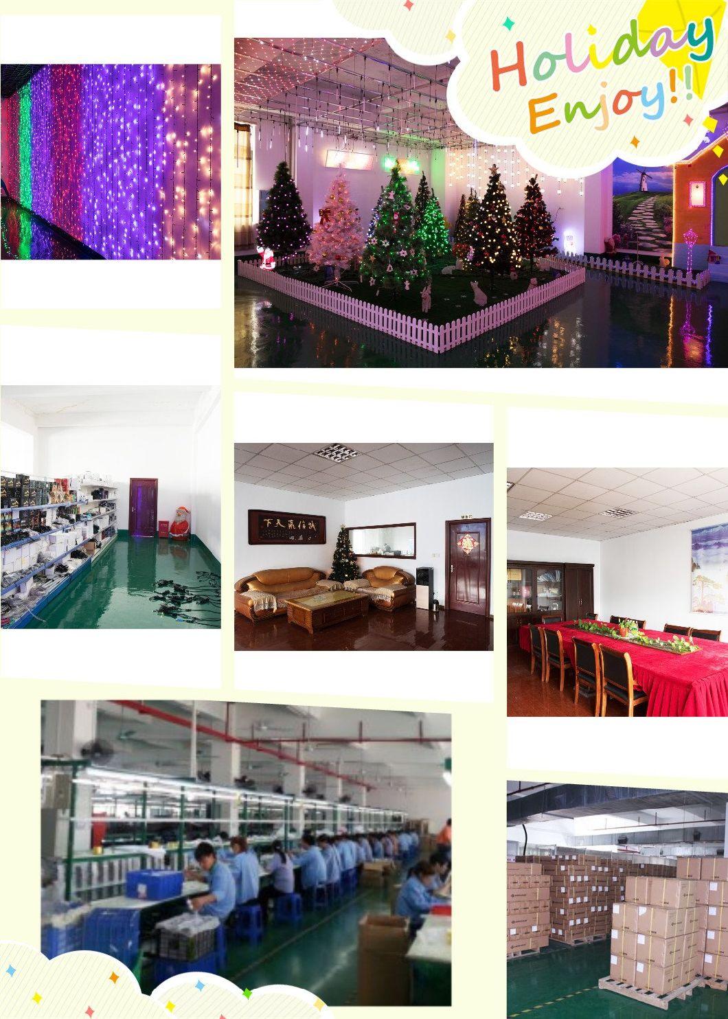 Ome Customized Remote Control RGB Color S14 Outdoor Decorative LED Sting Lighting