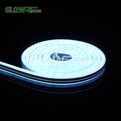 24V/12V Single Side Color Changing RGB Neon Flex Light for Business Club Bar Park Decoration