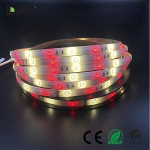 High Brightness DC12V IP20 IP65 SMD5050 Red+2835ww Cw 10m 36 60 120LEDs/M Flexible LED Strip Tape Ce ETL UL