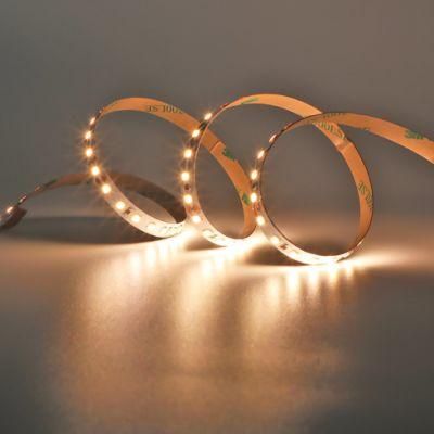 LED Strip Light 12V 5W