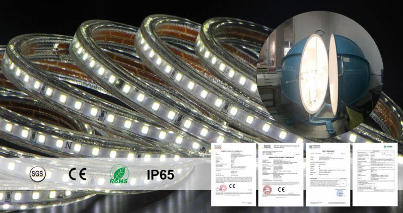 Flexible AC230V LED Rope Light Outdoor Using Ce RoHS Certificate SMD 2835