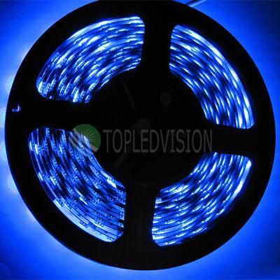 Blue Color Flexible LED Strip Light with High Lumen SMD5050