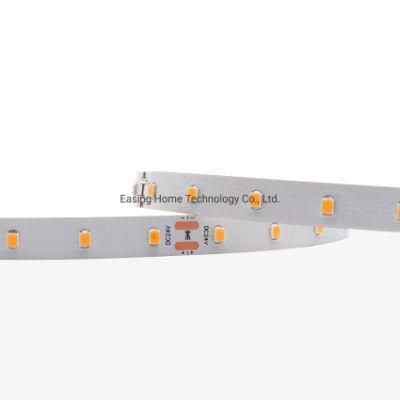 50m 36V LED Strip Without Voltage Drop IC Built in LED Light Strip