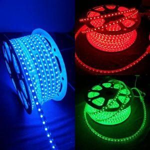 110V 220V RGB 60LED LED Strip Light Rope ETL Listed