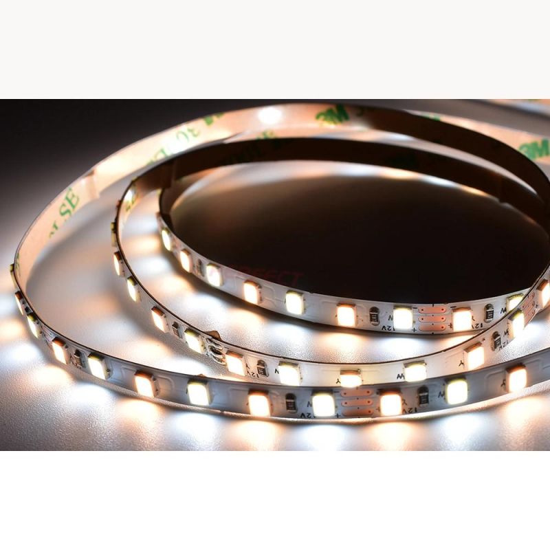 CCT Adjustable SMD2835 5mm Width PCB LED Strip Light