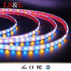IP33, IP54, IP68 RGB+Amber LED Rope Strip Light for Decorating Lighting