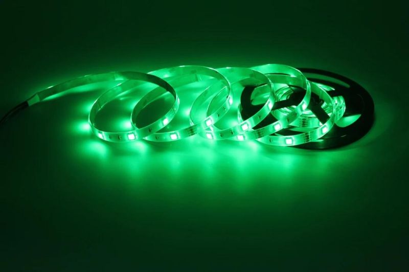 SMD5050 Waterproof Fire-Resistant Silicon LED Tape Flexible IP65 RGB LED Strip Light