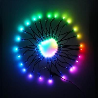 Hanging Decoration High Brightness RGB String Light for Outdoor Use