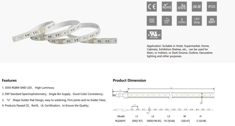 5050 RGBW Multi-Color 24V LED Strip LED Strip Lights