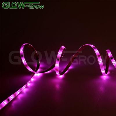UL Listed RGB 5m LED Flexible Color Change SMD 5050 Strip Light with IR Remote Controller for Kitchen Decor