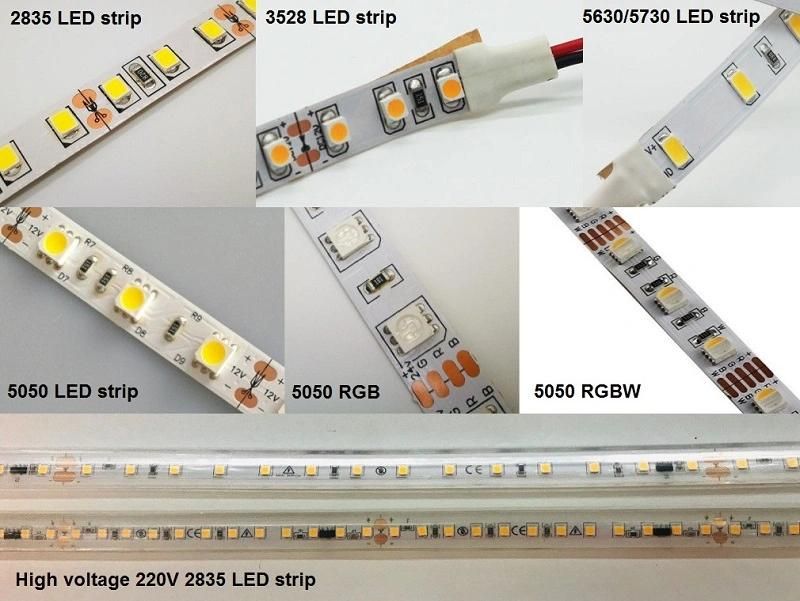 High Quality 12V/24V SMD5050 LED Strip for Indoor Outdoor Lighting