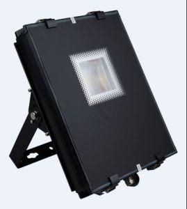 55W LED Projection Light with 3-5 Years Warranty Ce RoHS