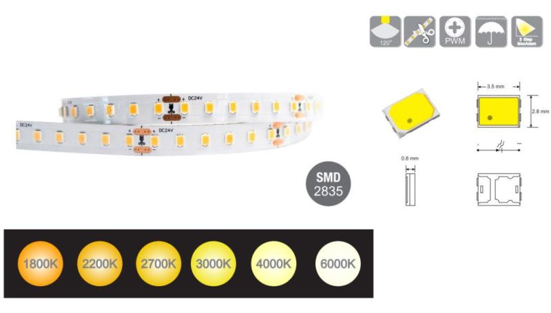 SMD2835 120 LEDs/M IC-Built-in LED Light Strip for Decorative LED Lighting