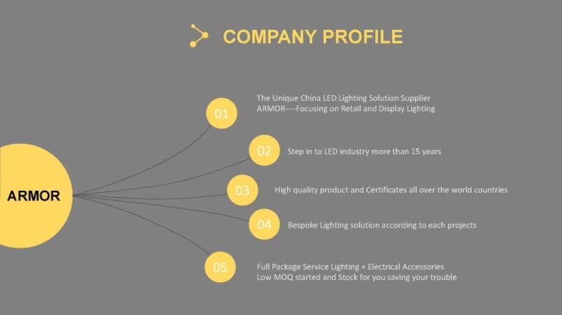 DC12V 2835 CE ETL Certificate LED Strip Flexible LED Strip Light