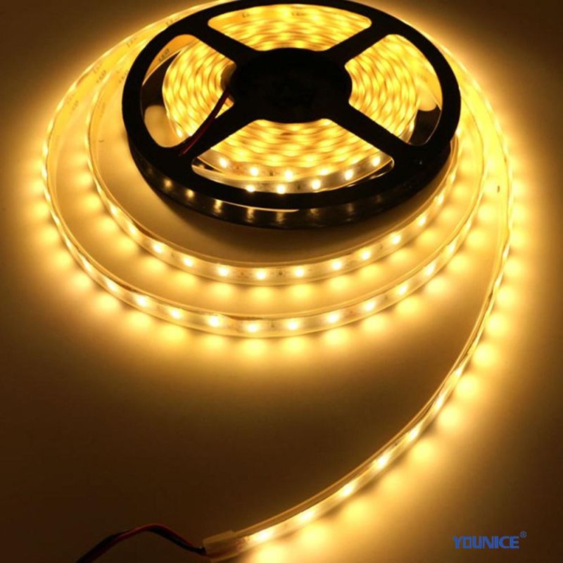IP67 Withstand High Temperature and High Humidity LED Flexible Strip