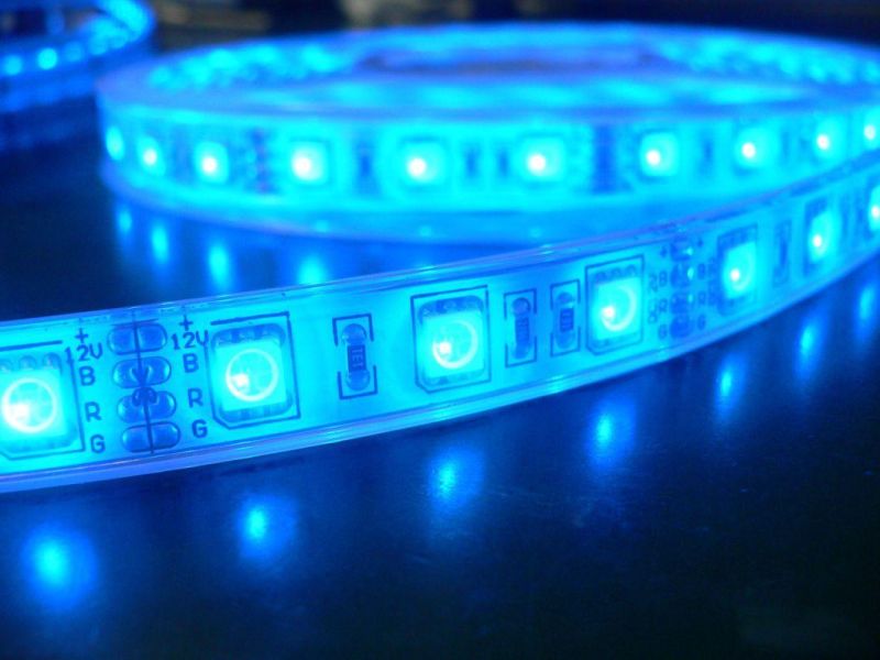 SMD 5050 RGB DC 12V Changeable Neon Strip Waterproof IP68 Indoor LED Strip Light