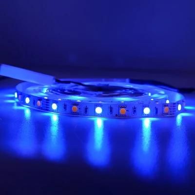 EMC Approved Cx-Lumen Good-Looking Waterproof Blue Strip for Party Decoration with High Quality