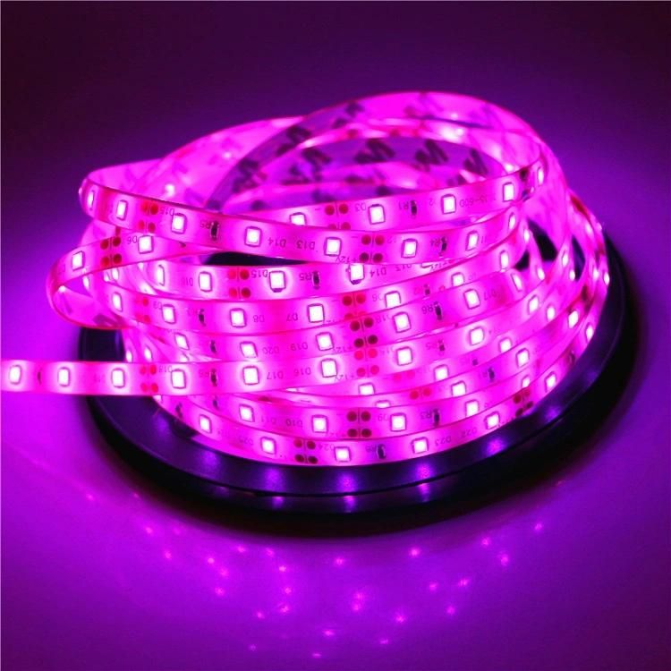 14.4W/M High Lumen SMD 2835 Flexible LED Strip Light