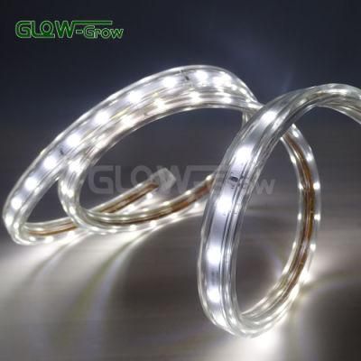Wholesale Decoration LED Light IP65 SMD 2835 60LEDs/M Flexible Strip LED Light Strip for Shopping Mall Decoration
