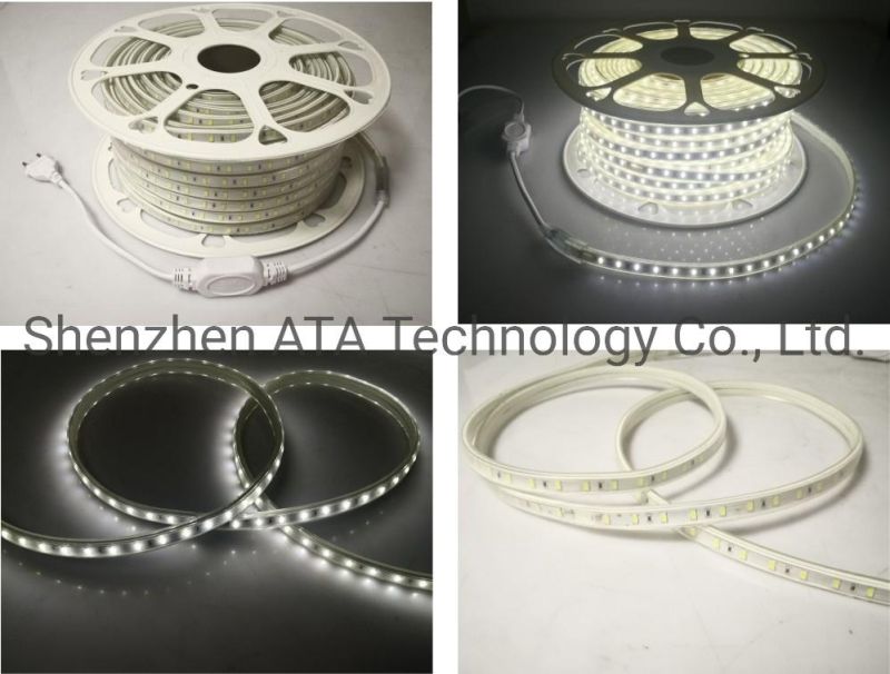 CE RoHS Certification 60LEDs/M Waterproof IP67 AC 110V 220V SMD 5730 LED Strip Lamp