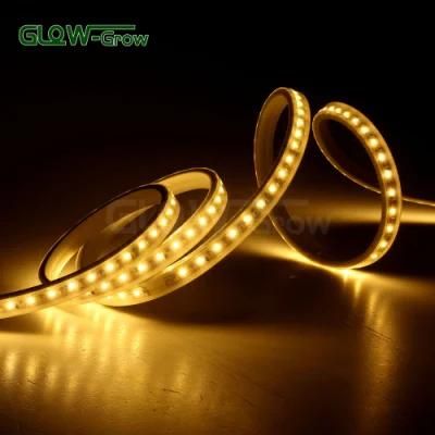 CE Approval LED Strip 2835 IP65 LED Strip Light for Hotel Decoration