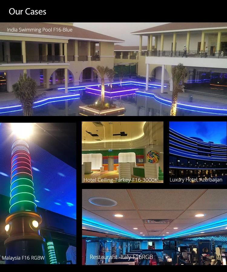 Under Water Ce RoHS Neon Heat Resistant LED Strip Light