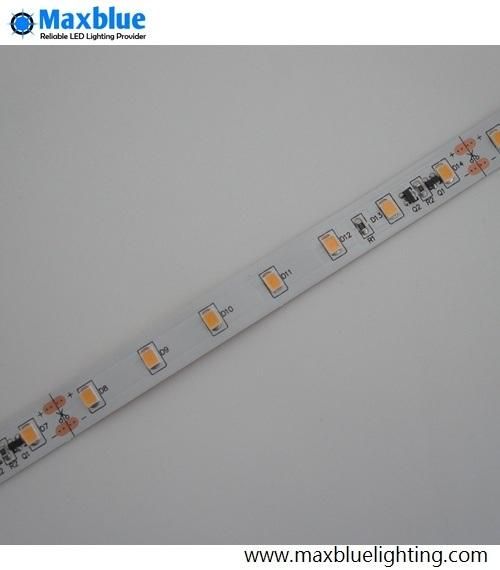 DC24V 2835SMD Ra90 Constant Current LED Flexible Strip 60LEDs/M