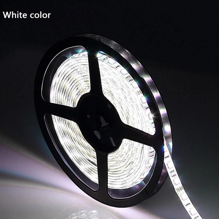 Low Voltage RGB Home Decoration Strip Light
