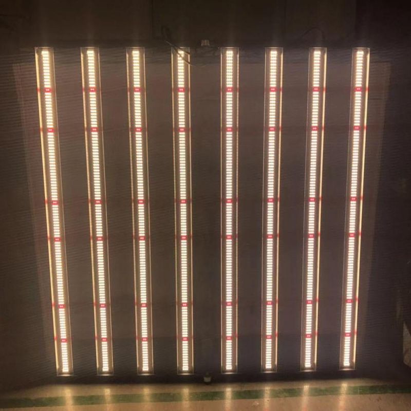 Greenhouse LED Grow Light Full Spectrum 830W