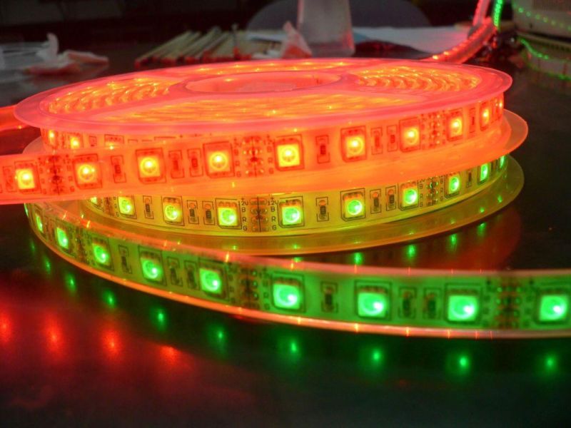 SMD 5050 RGB DC 12V Changeable Neon Strip Waterproof IP68 Indoor LED Strip Light