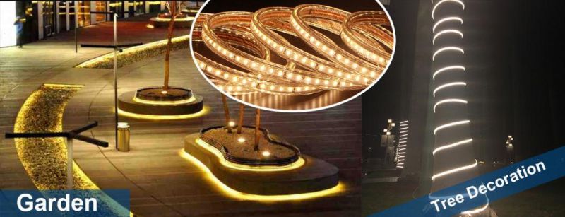 AC230V Ce RoHS LED Rope Light LED Strip Light LED Ribbon with Power Supply 5 Meters and 16.4FT Kit Linkable up to 50 Meters Waterproof IP65