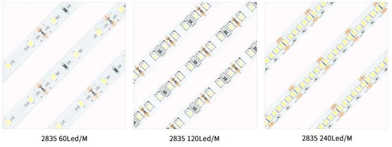 SMD2835 Waterproof 10mm LED Rope Light CE Approved Flexible LED Strip