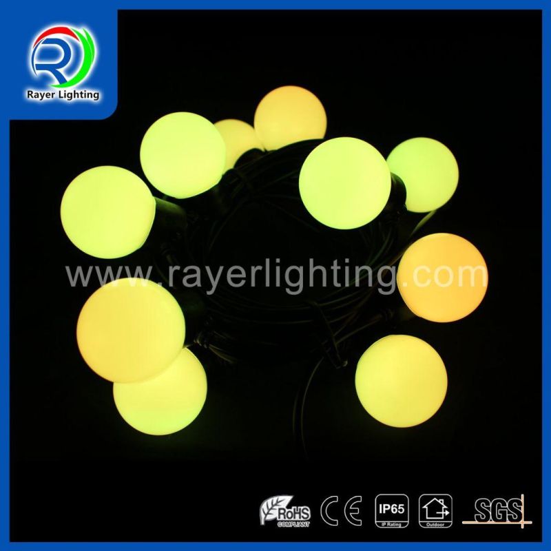 LED Outdoor Decorative Light LED Garden Light LED Waterproof Ball Light LED Twinkle Light