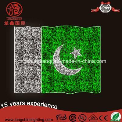 High Quality LED 220V Outdoor Pakistan National Flag for Decoration Lights