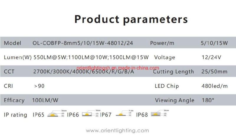 New Arrival 10W 3000K LED Flux Light Strip COB