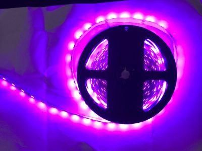 LED Pink Lights 5050 Strips