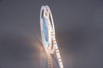 IP20 LED 2835 120LEDs Flexible LED Light Strip