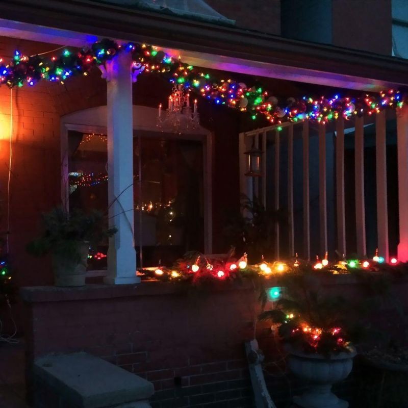 LED Outdoor String Light Christmas Trees for Holiday Project