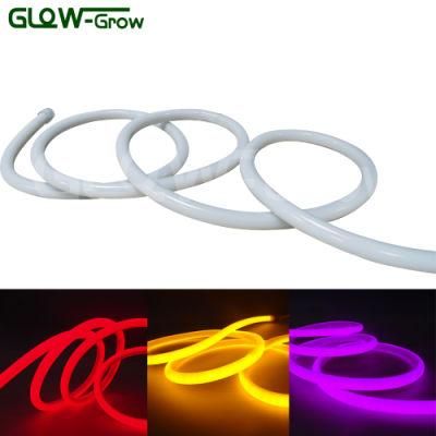 SMD 2835 Christmas LED Neon Flex Light Rope Light for Home Decoration