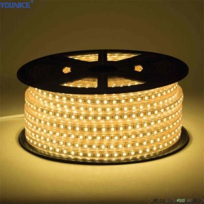 12W 10mm Narrow SMD2110 Light LED Flexible Rope Strip