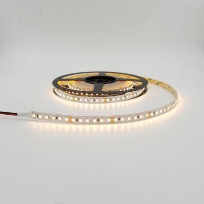 SMD5050/2835 60LEDs/120LEDs Low Voltage DC 12V 24V High Voltage AC 110V/220V IP68 Waterproof Flexible LED Strip