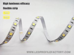 GS5050-48-CV-12 Bright LED Rigid Bar LED Flexible Strip IP65 48LEDs DC12V