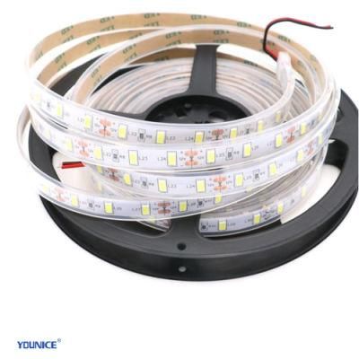Environmental Protection Grade Silicone IP67 LED Flexible Strip Light