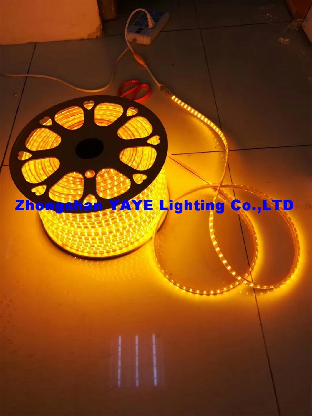 Yaye 18 Hot Sell 12V/220V SMD2835 RGB Waterproof IP68 LED Strip Light / SMD LED Strip Light /LED Decorative Light with 2 Years Warranty