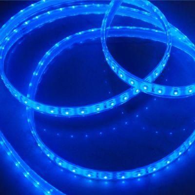 IP65 Waterproof Outdoor Color Changing Rope Lighting LED Rope light